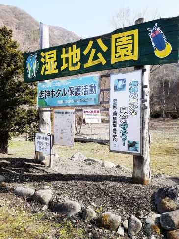 ホタルの舞が始まります