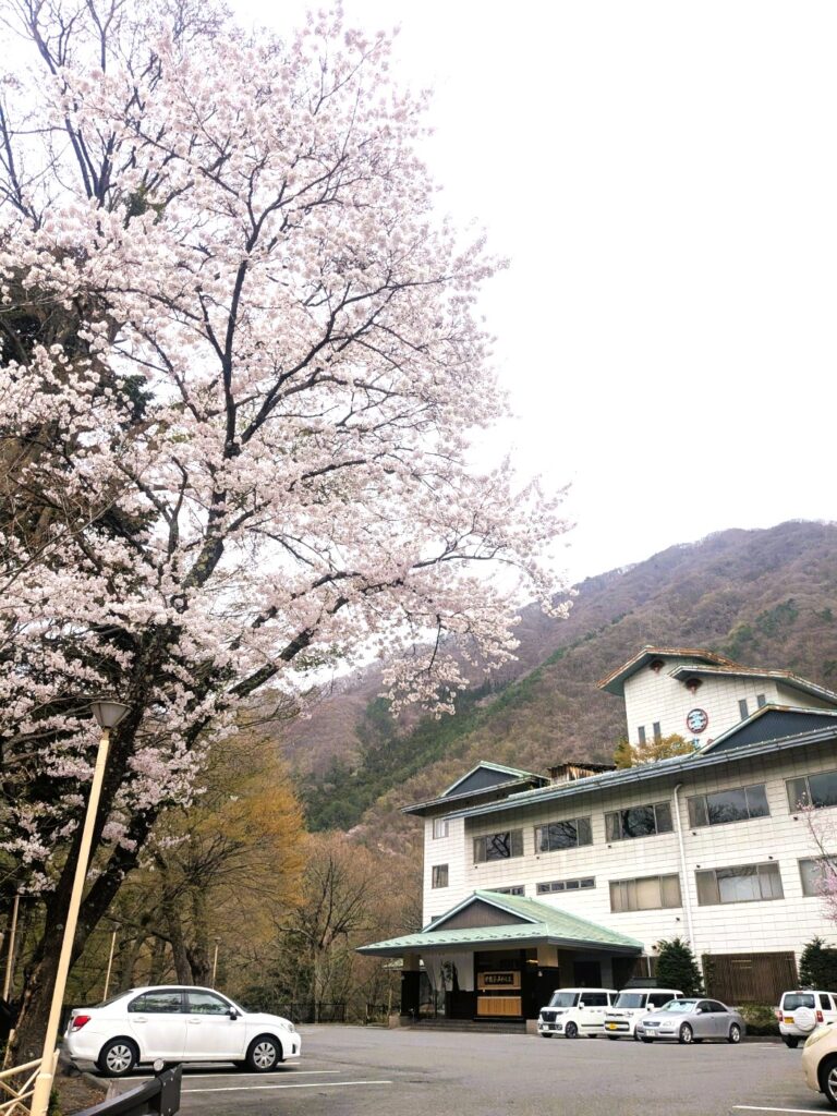 春の老神より