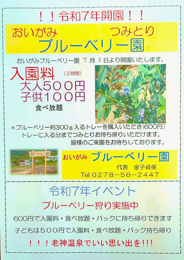 【徒歩で行ける旬体験】「おいがみブルーベリー園」でブルーベリー狩りはいかがですか？