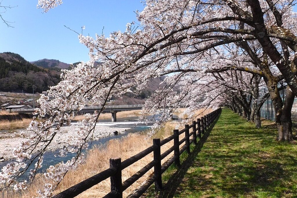春を迎える老神温泉