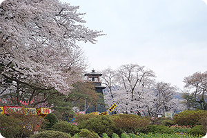 Numata Jyoseki Park