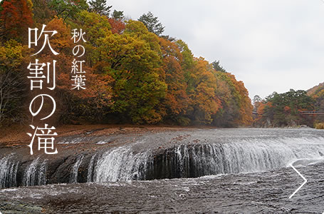 秋の紅葉　吹割の滝