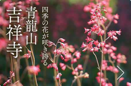 四季の花が咲き誇る　青龍山　吉祥寺